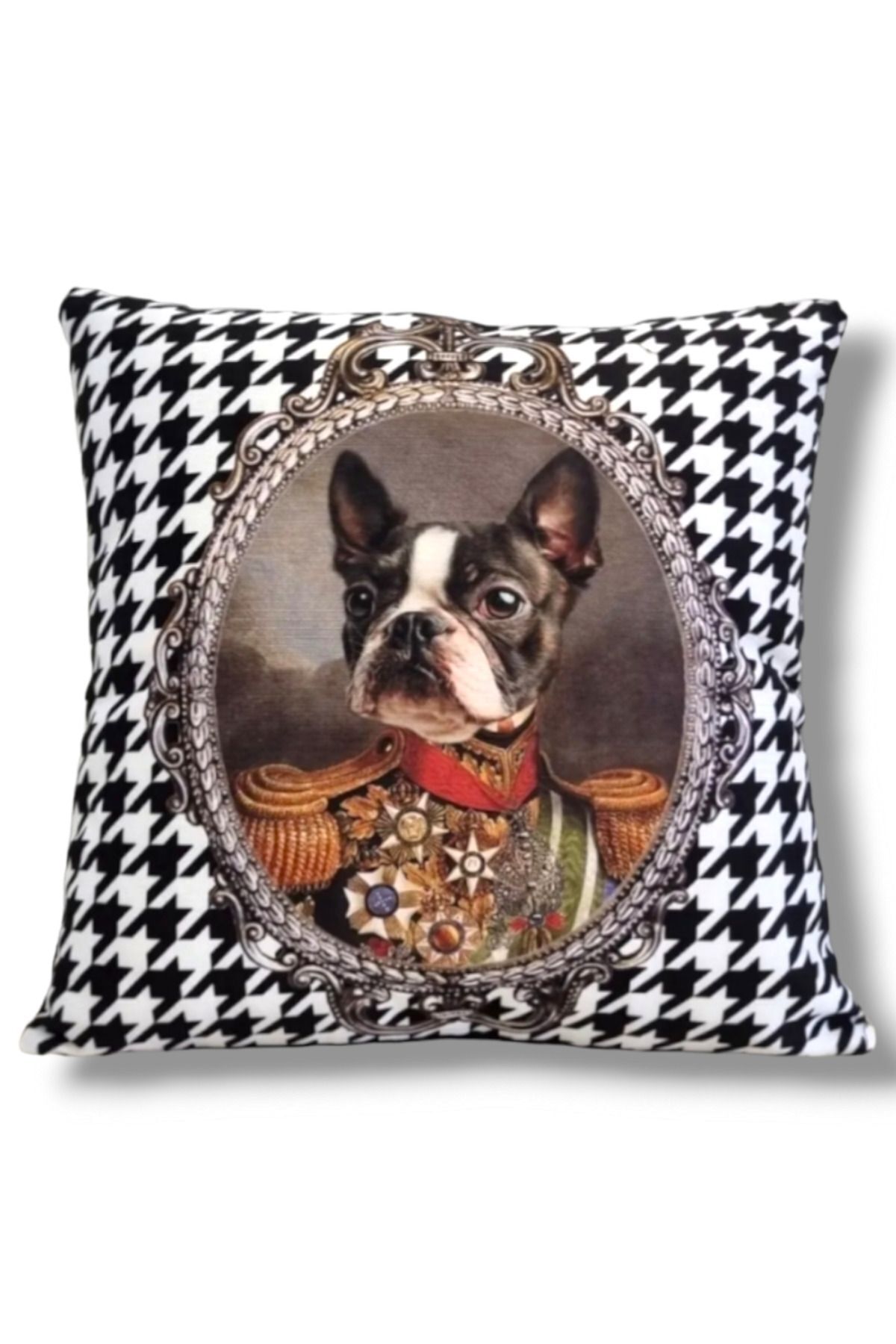 KAZ AYAK KRAL BOSTON TERRİER