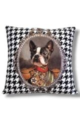 KAZ AYAK KRAL BOSTON TERRİER