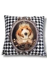 KAZ AYAK TERRİER PRENSESS