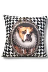 KAZ AYAK KRALİYET BOKSÖR