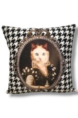 KAZ AYAK MAVİ GÖZLÜ KEDİ